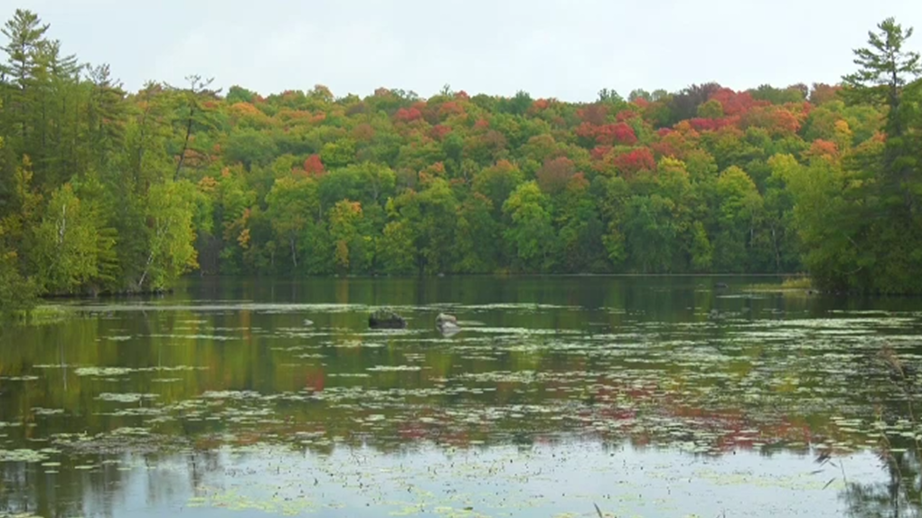 Ottawa weather: Chance of wet flurries today and Wednesday in Ottawa [Video]