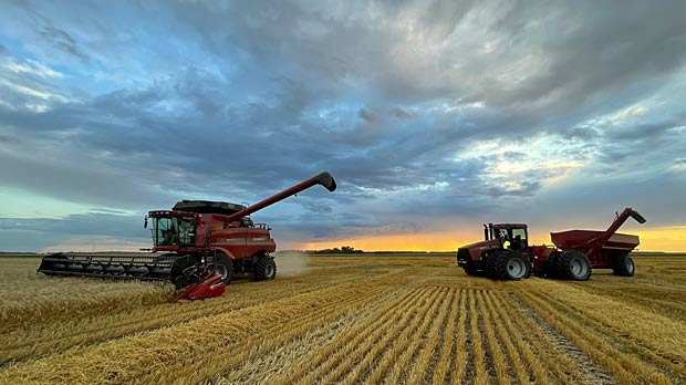 Canadian cereals industry gets federal funding [Video]