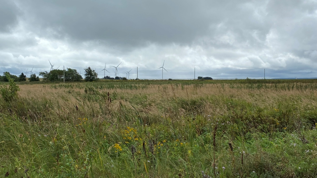 Chignecto Isthmus: N.S. to build berm to protect link [Video]