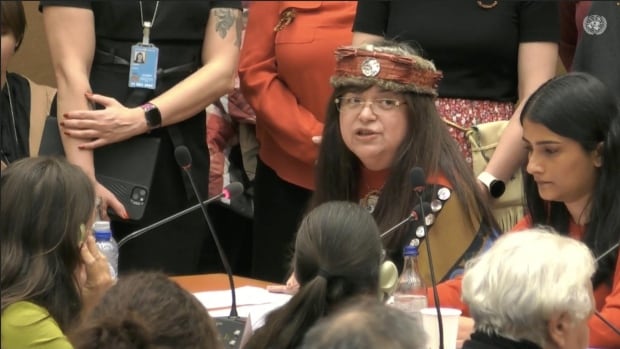 Heiltsuk chief blasts Canada’s Indian status policy at UN [Video]