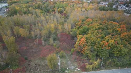 Renewed efforts to preserve Fairview Forest [Video]