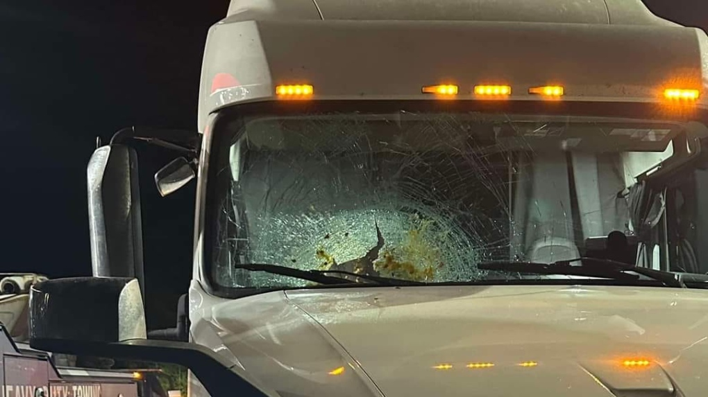 OPP investigating after pumpkins tossed from highway overpass [Video]