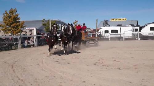 Norwood Fair sets new single-day attendance record over Thanksgiving weekend [Video]