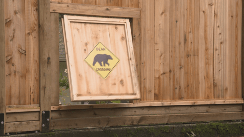 North Van man creates bear door to deal with fence crasher [Video]