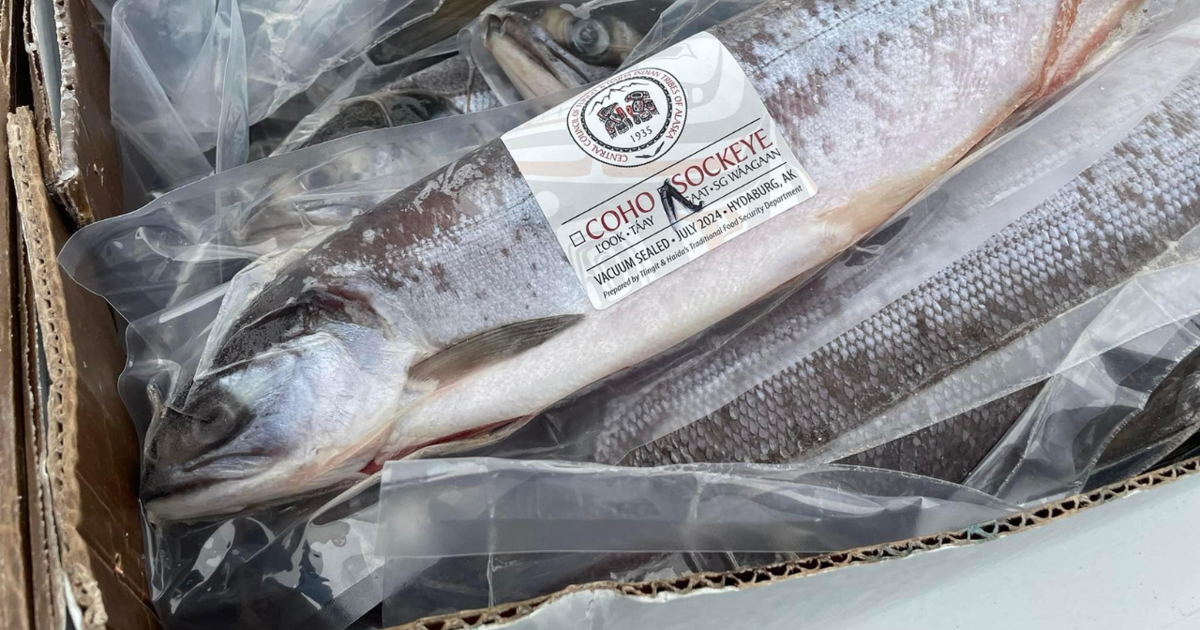 Tlingit & Haida Distributes Hundreds of Pounds of Salmon to Anchorage Tribe | Homepage [Video]