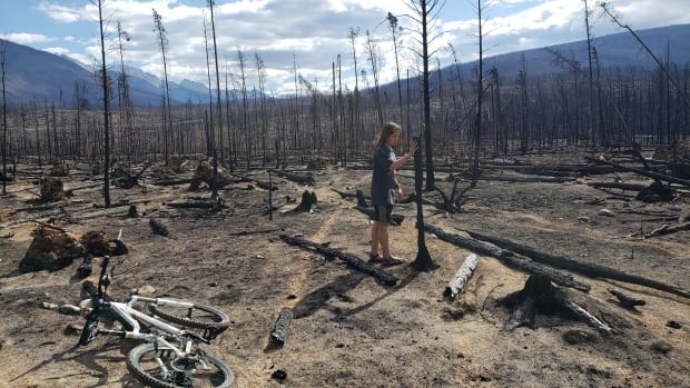 I was surprised to find beauty in the aftermath of the Jasper fire [Video]