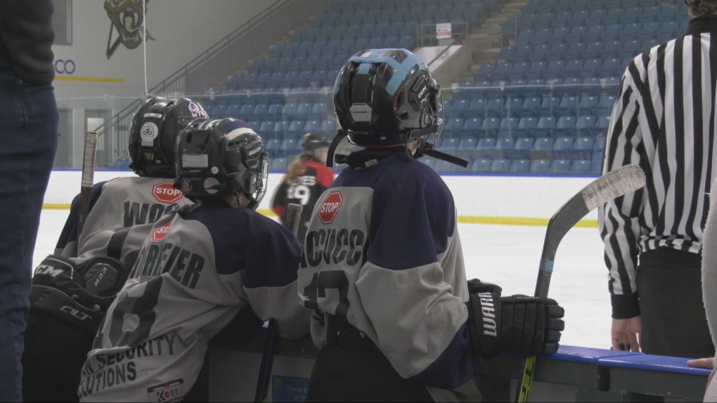 Windsor and LaSalle minor hockey attempt another merger [Video]