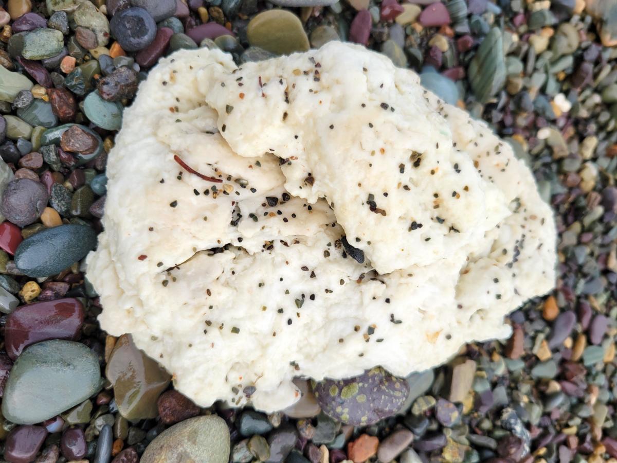 Mysterious white blobs washing up on Canadian beaches stump experts [Video]