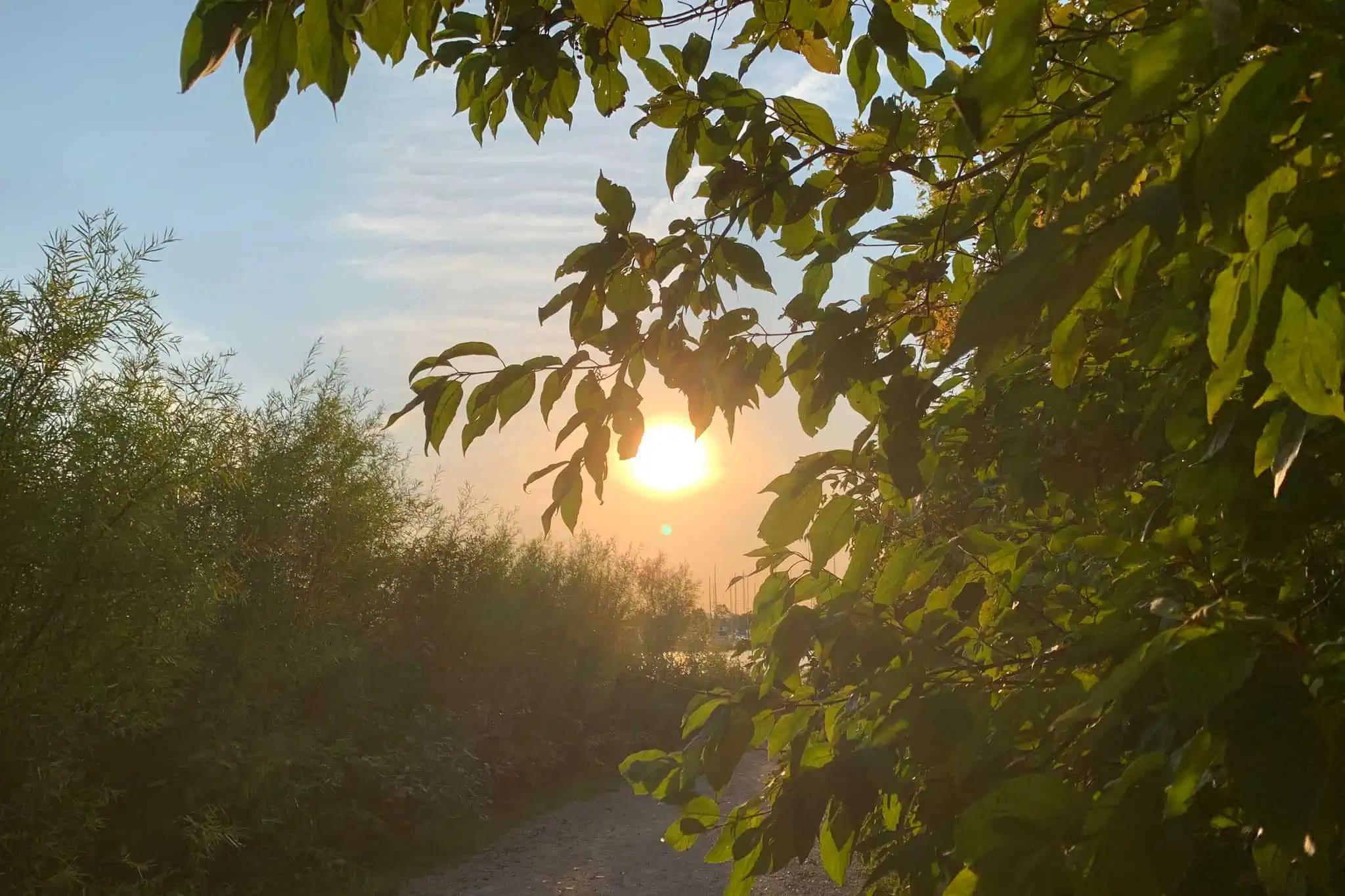 18 C swing in temperature this weekend in southern Ontario [Video]