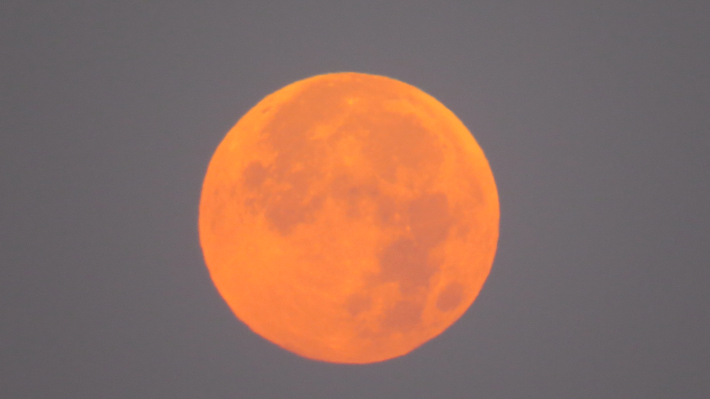 Manitoba supermoon: When to spot the lunar phenomenon [Video]