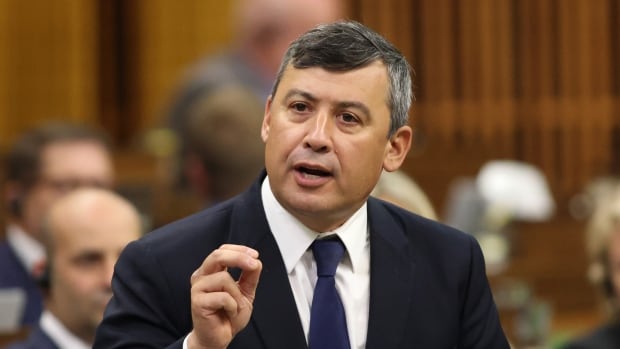 Conservative MP Michael Chong calls PM’s foreign interference testimony ‘highly irresponsible’ [Video]