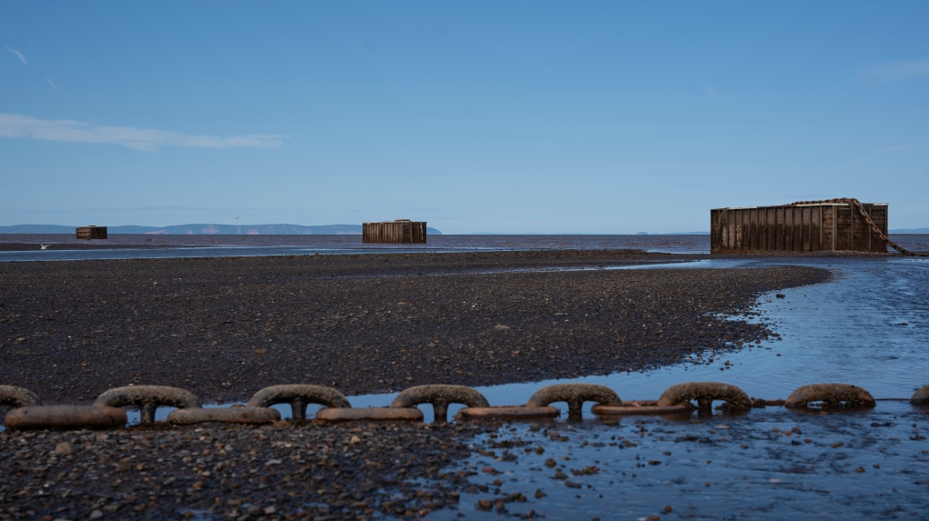 Deposit may not cover removal of moorings in Bay of Fundy: N.S. minister [Video]