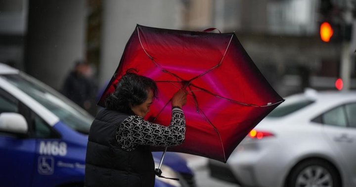 Election day drenching expected with rainfall warning issued for South Coast – BC [Video]