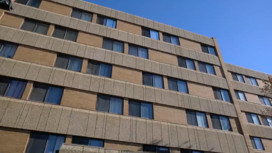 Saskatoon tenant complains of insect in subsidized building [Video]