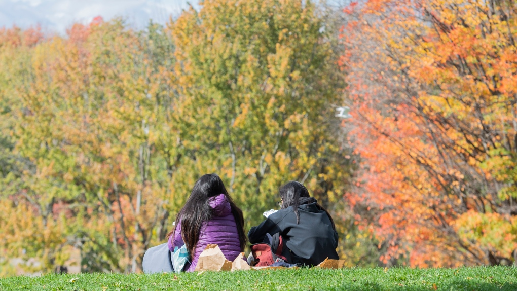 Montrealer weather: Rollercoaster of a week will end on an unseasonable high [Video]