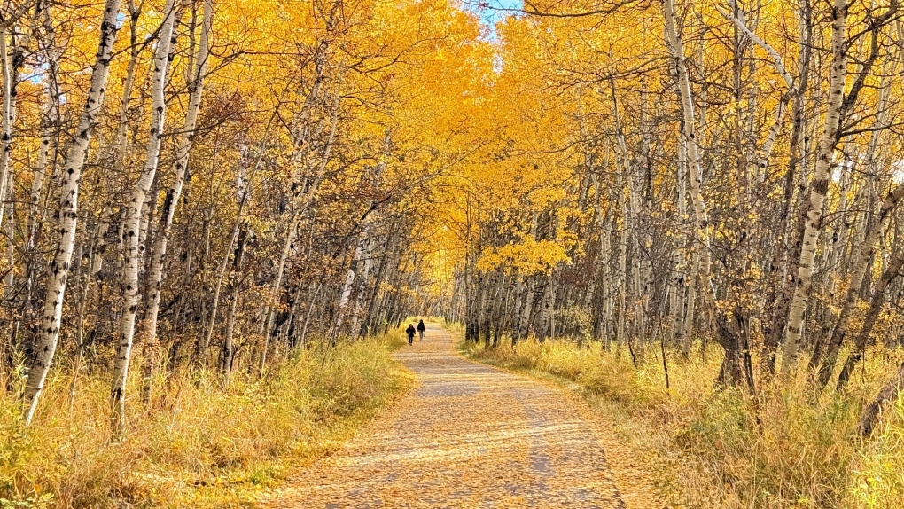 Calgary weather: A warmer weekend with some wind from the west [Video]