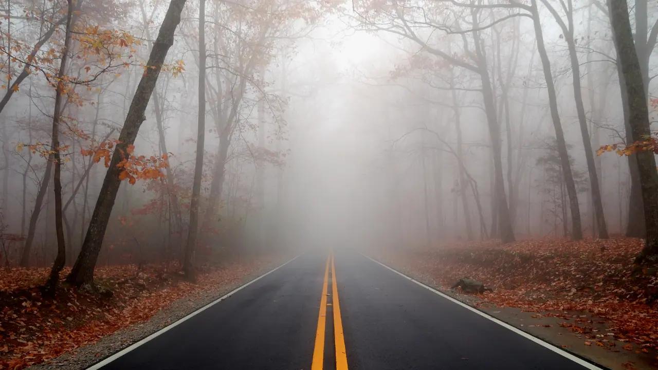 Fog advisory in effect for cities and towns in southern Ontario [Video]