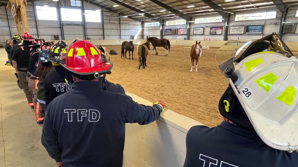 How do you rescue a large animal? First responders attend training program [Video]