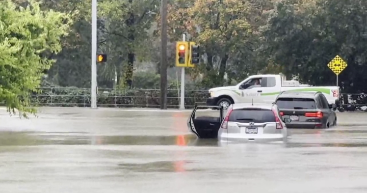 Warnings in place, roads closed, flooded as atmospheric river batters B.C. – BC [Video]