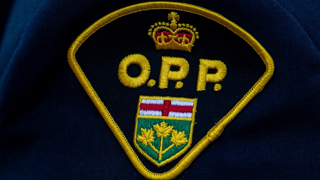 Ontario police now investigating 9 incidents of rocks being thrown at moving vehicles [Video]