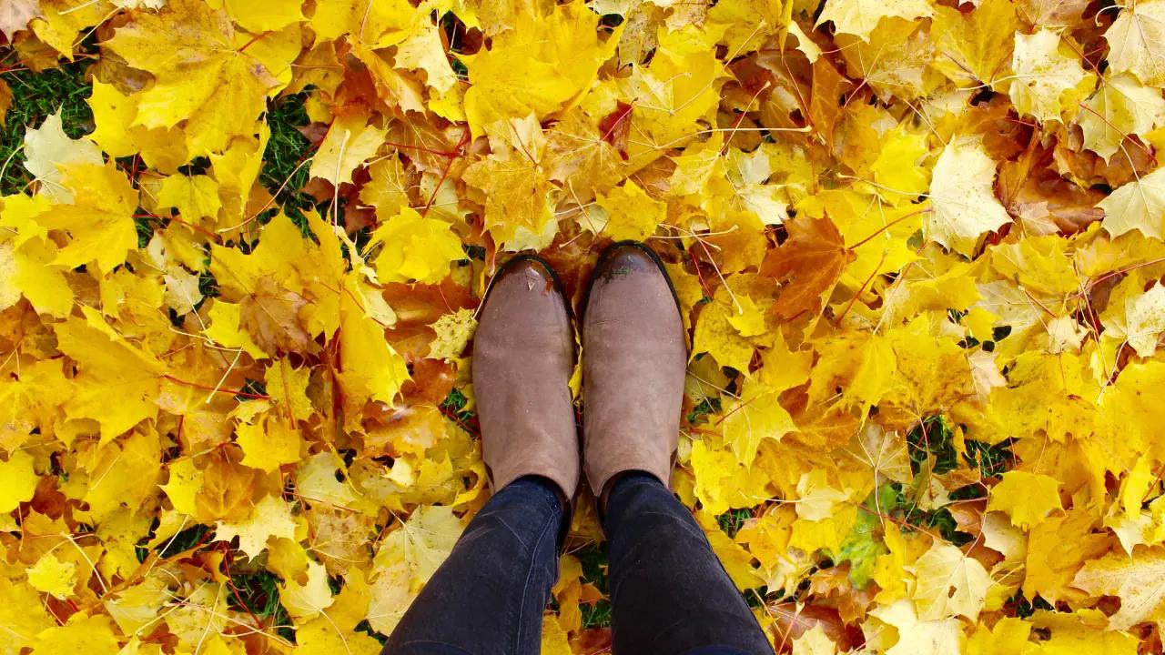 Oct. 20 Weather: Foggy and breezy start gives way to sunshine and warmth across southern Ontario. [Video]