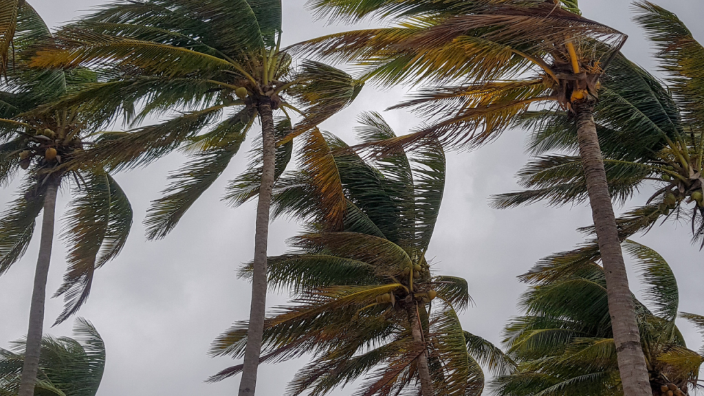 Canada issues major travel advisories due to a new hurricane [Video]