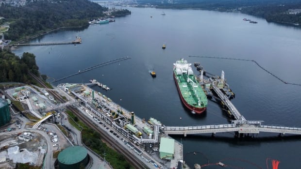 ‘Take your time’: Trans Mountain CEO says Ottawa shouldn’t rush to sell pipeline [Video]