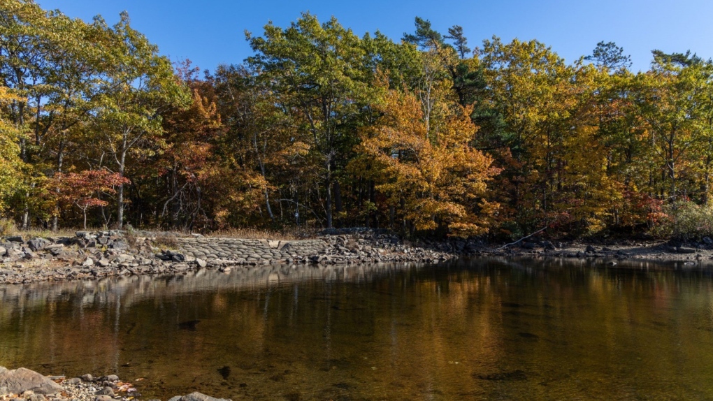 Williams Lake in Halifax to get new dam [Video]