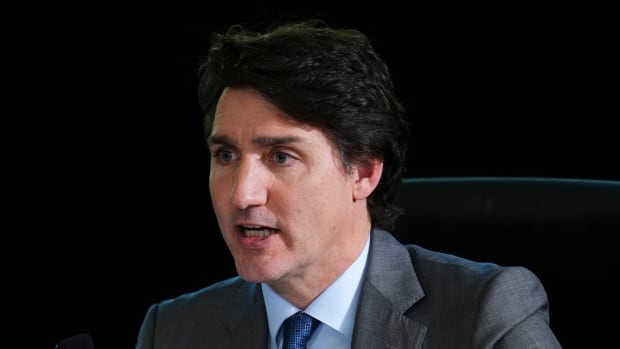 Here’s what Liberal MPs are saying ahead of an expected push to oust Trudeau [Video]