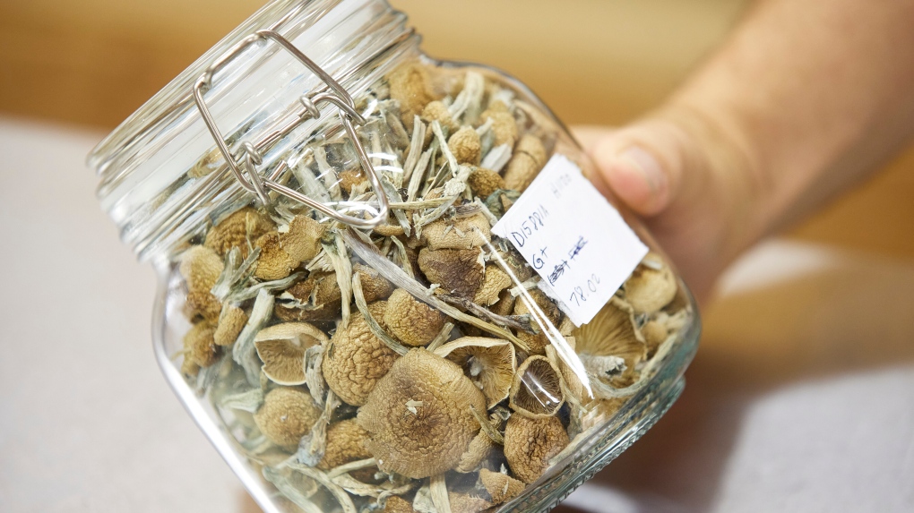 Quebec religion wants Health Canada’s blessing to use magic mushrooms in ceremonies [Video]