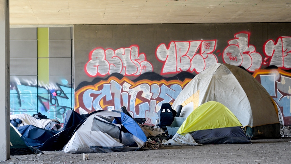 Councillor wants state of emergency on Montreal homeless crisis [Video]