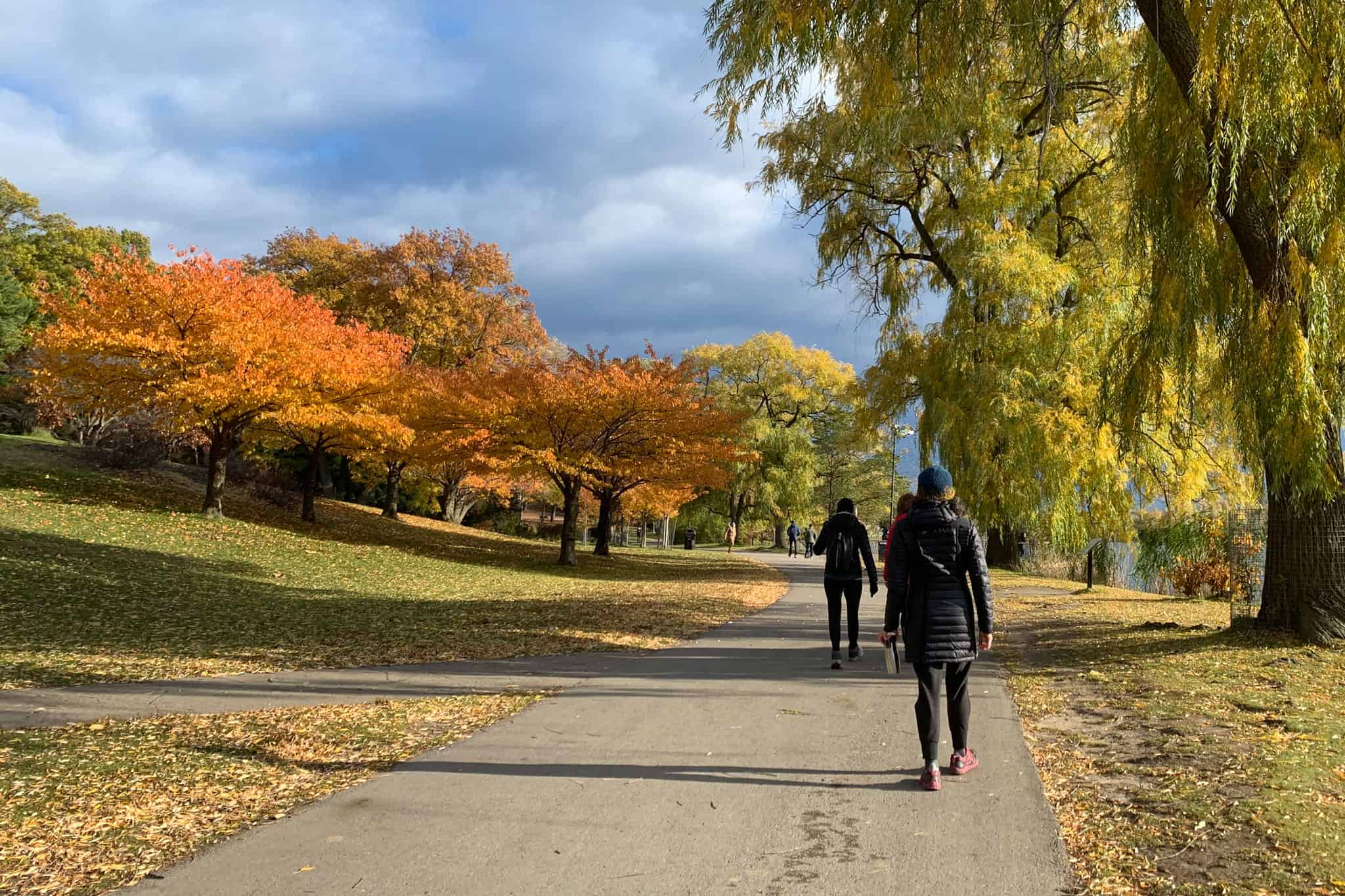 Huge temperature plunge forecast this week in southern Ontario [Video]