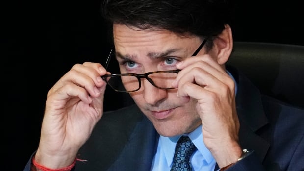 Disgruntled Liberal MPs are expected to confront Trudeau at party caucus meeting today [Video]