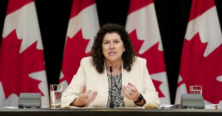 Auditor general to probe ArriveCan contracts with feds. What to know – National [Video]