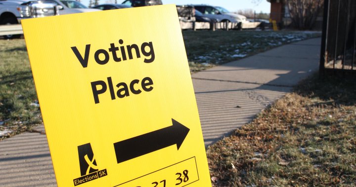 Breaking down the difference between provincial and municipal elections [Video]