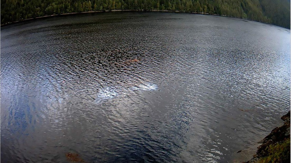 Oil removal begins on WWII-era shipwreck in B.C. [Video]