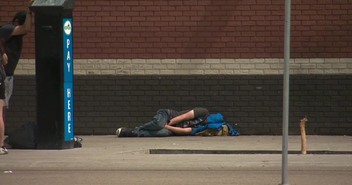 Feds say Alberta didnt respond to offer to help with homelessness, province denies formal offer made [Video]