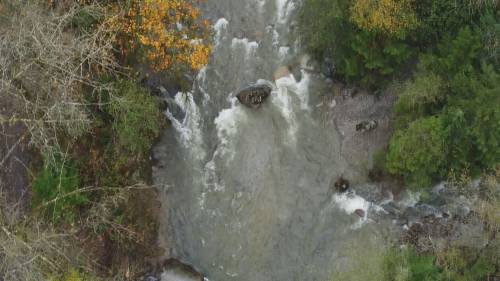 Search continues for man who may have fallen into swollen river in Coquitlam [Video]