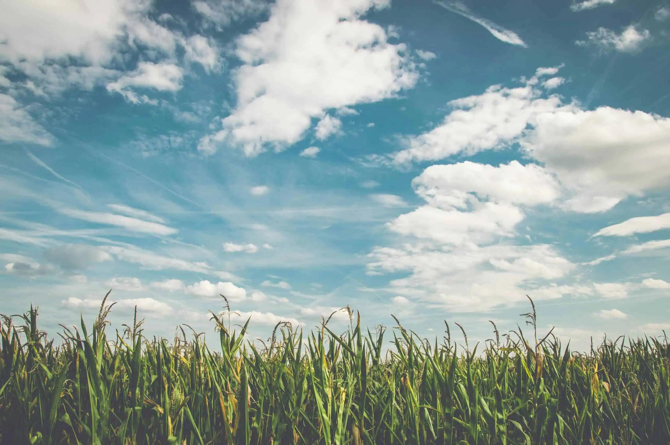 Oct. 24 Weather: Mainly cloudy, seasonal temperatures for southern Ontario [Video]