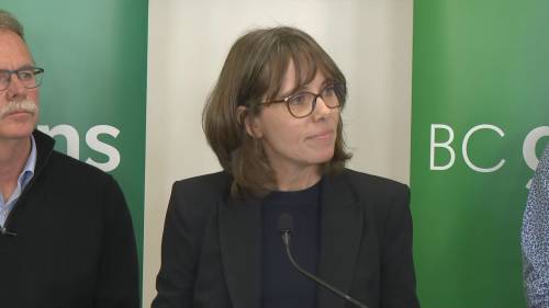 BC Green Party Leader Sonia Furstenau on loss in Victoria-Beacon Hill riding [Video]