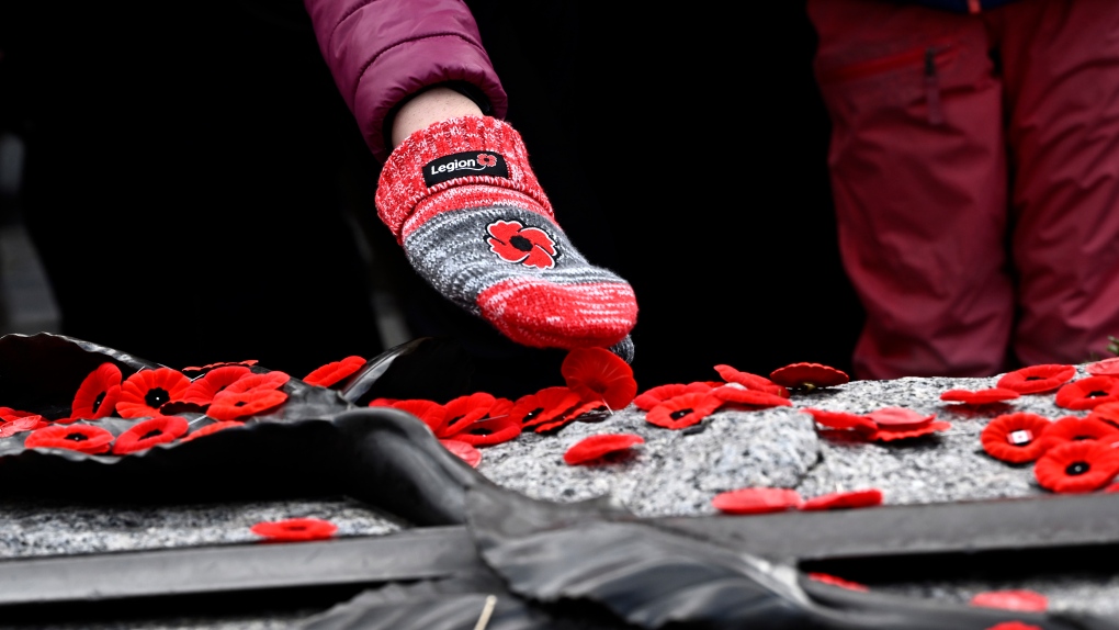 Poppy campaign launches in Alberta on Oct. 25 [Video]