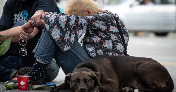 More females are dying of toxic drugs in B.C. as latest numbers released [Video]