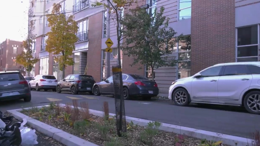 Pricey tree-planting project sparks concerns in Plateau-Mont-Royal [Video]