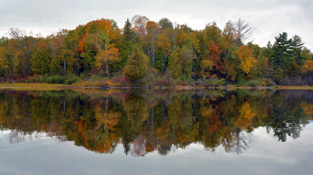 Ottawa weather: Fall weather returns to Ottawa with overnight lows below freezing this weekend [Video]