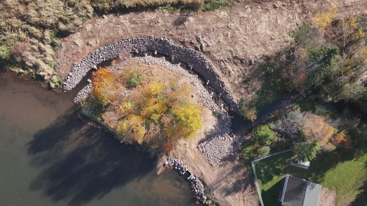 How a pond makeover in central P.E.I. could help declining fish populations rebound [Video]