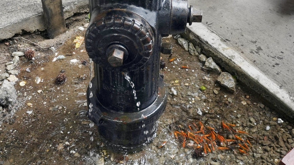 Brooklyn aquarium under leaky fire hydrant removed [Video]