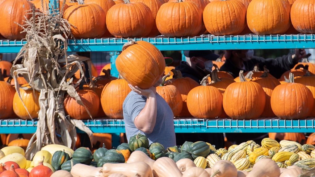 Montreal weather: chance of showers, more seasonal temperatures this weekend [Video]