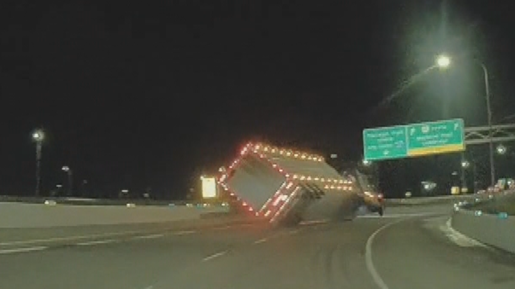 Animal Justice calling for investigation after cows killed in Calgary crash [Video]