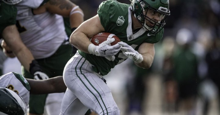 Record-setting running back Frank leading USask Huskies to final regular season test – Saskatoon [Video]