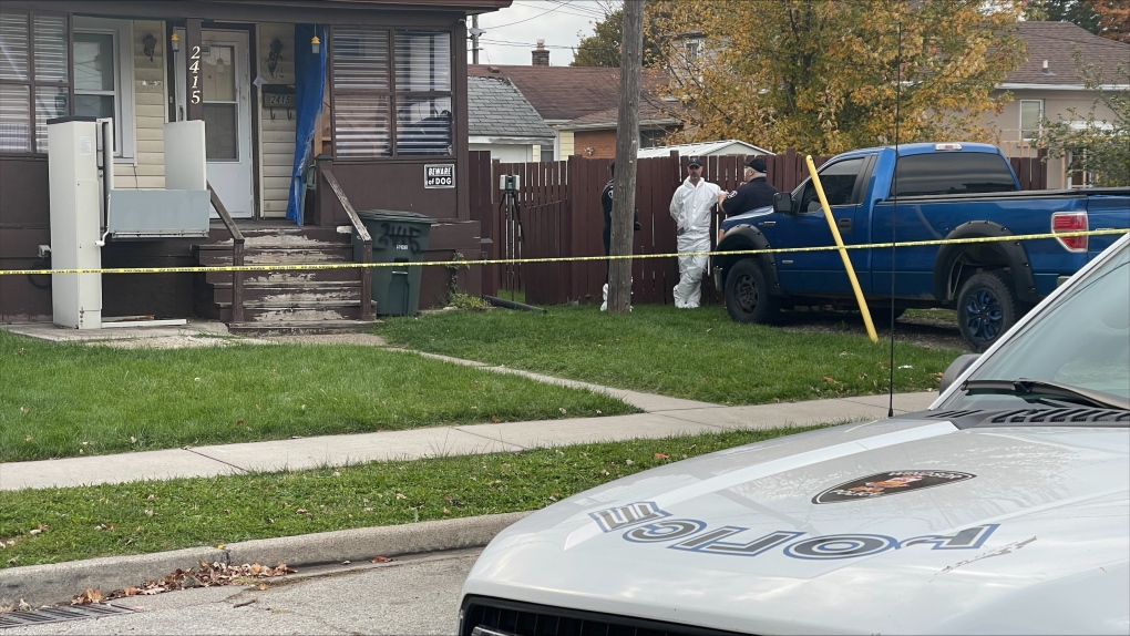 Windsor police investigate homicide | CTV News [Video]